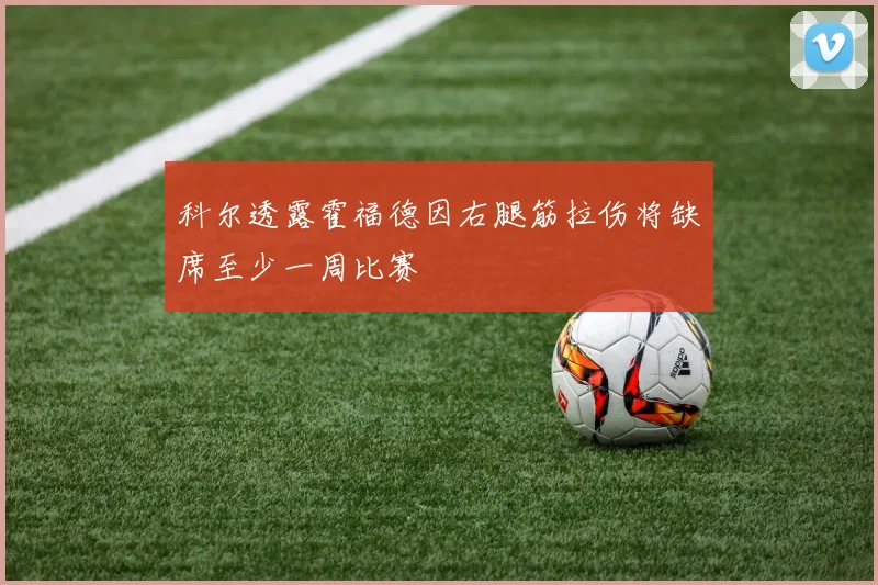 科尔透露霍福德因右腿筋拉伤将缺席至少一周比赛