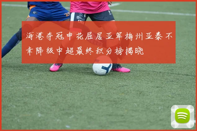 海港夺冠申花屈居亚军梅州亚泰不幸降级中超最终积分榜揭晓